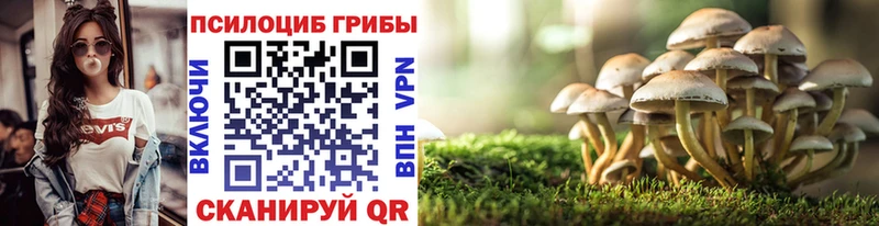 Купить где  Липки  Галлюциногенные грибы мицелий 